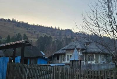 Casă cu 2 camere în Pârâul Pântei - 1