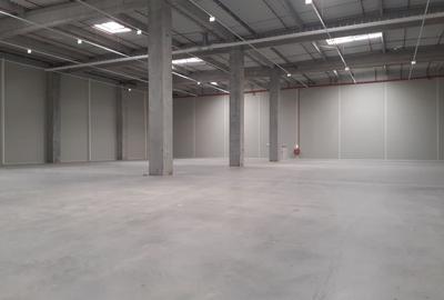 Spațiu industrial, de 1,700 mp, în Theodor Pallady - 1