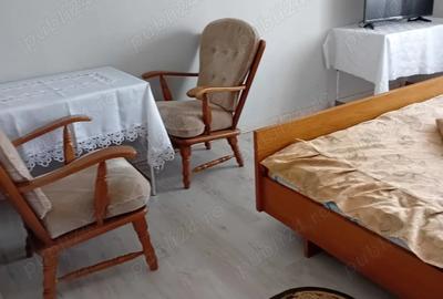 Casă cu 6 camere cu Teren 565 Mp în Ișalnița - 2