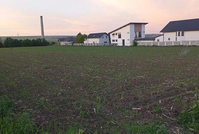 Teren de 500 mp, în Lisaura - 2