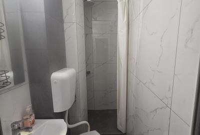 Apartament cu 2 camere în Podu Roș