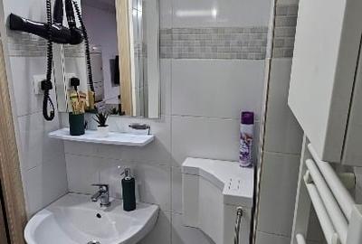 Garsonieră decomandată, mobilată în Big-Bascov - 13