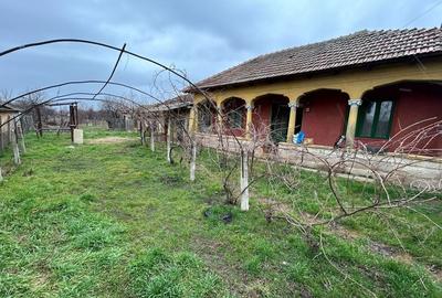 Casă cu 3 camere în Năsturelu - 2