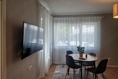 Apartament cu 2 camere decomandat în Elisabetin - 16