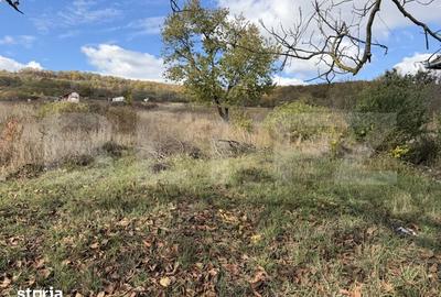 Casă cu 4 camere cu Teren 3550 Mp în Meseșenii de Jos