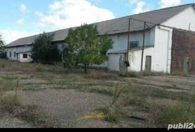 Spațiu comercial, de 8,438 mp, în Cobadin - 1