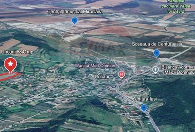 Teren Construcții intravilan de 8841 mp, în Uricani - 4
