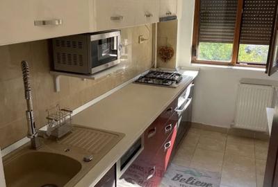 Apartament cu 2 camere decomandat, mobilat în Doamna Ghica - 6