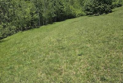 Teren de 3000 mp, în Ponor - 3