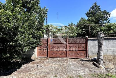 Casă cu 2 camere cu Teren 4029 Mp în Sânmartin - 13