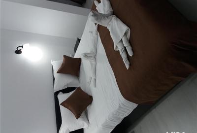 Apartament cu 2 camere decomandat în Sinaia - 2