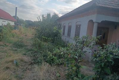 Teren de 1280 mp, în Galicea Mare