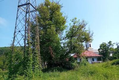Teren de 4000 mp, în Băbana