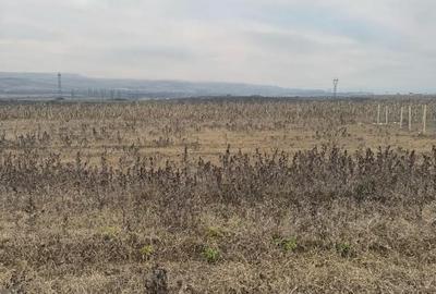Teren de 12 mp, în Central - 4