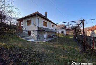 Casă individuală cu 4 camere cu Teren 8000 Mp în Ciucea - 5