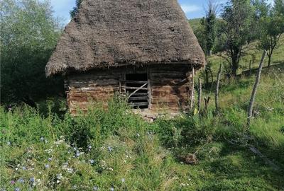 Casă cu 2 camere în Petrila