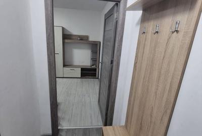 Garsonieră semidecomandată în Craiovița Nouă - 4