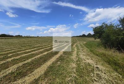 Teren agricol extravilan de 11000 mp, în Neajlovu - 4