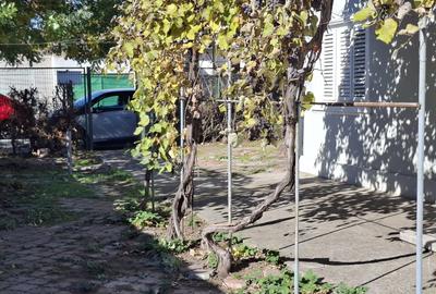 Casă individuală cu 3 camere cu Canalizare în Abator - 4
