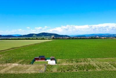 Teren agricol extravilan de 225 mp, în Hărman - 6