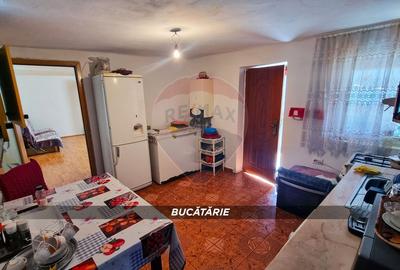 Casă cu 3 camere cu Teren 3724 Mp în Borlești - 12