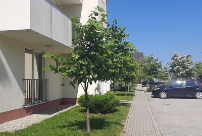 Apartament cu 2 camere decomandat în Primăverii
