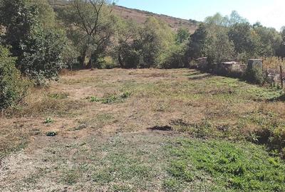 Teren de 1440 mp, în Ciumăfaia