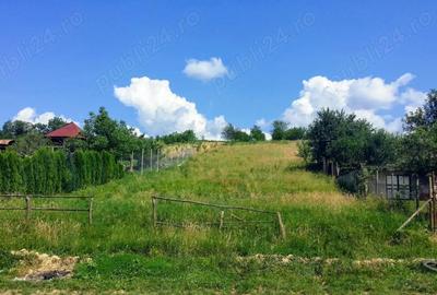 Teren în Racșa - 2
