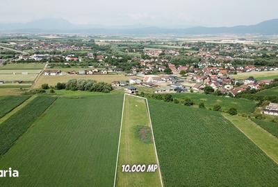 Teren de 10000 mp, în Stupini - 2