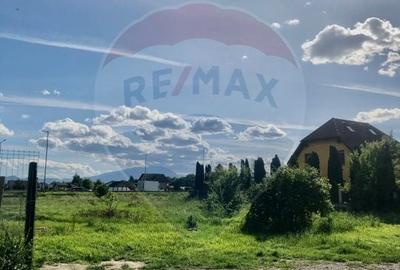Teren Construcții intravilan de 1000 mp, în Cristian - 12