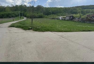 Teren de 2600 mp, în Central