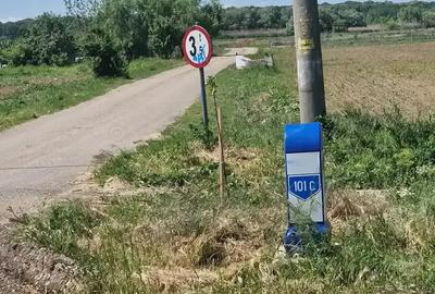 Teren de 500 mp, în Siliștea Snagovului - 4