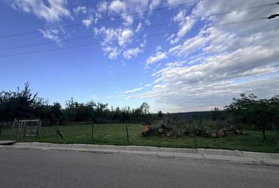 Teren de 3000 mp, în Băbana