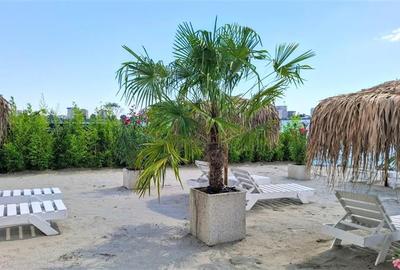 Apartament cu 2 camere decomandat în Nord