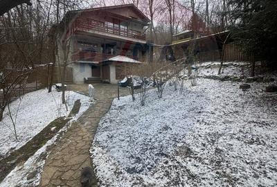 Casă cu 7 camere cu Teren 3485 Mp în Provița de Jos - 1