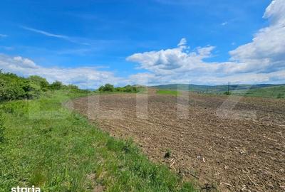 Teren de 5800 mp, în Șintereag