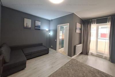 Garsonieră în Beba Veche - 2