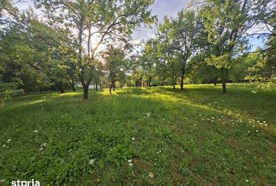 Teren de 5524 mp, în Poiana - 8