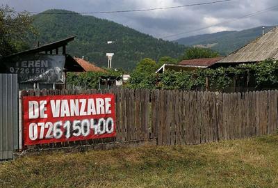 Teren în Stejaru (Pângărați) - 5