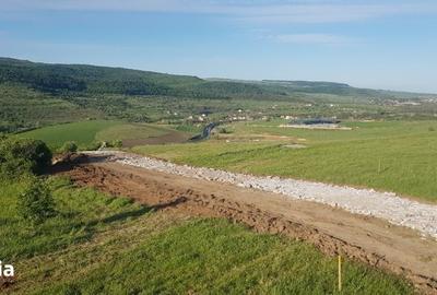 Teren de 3750 mp, în Baciu - 3