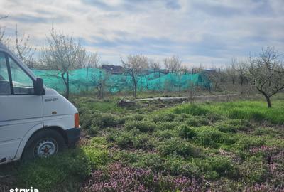 Casă cu 2 camere cu Teren 3800 Mp în Mădăras
