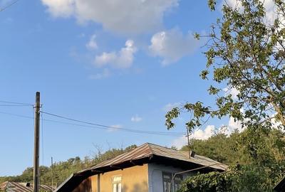 Casă cu 2 camere cu Teren 2595 Mp în Negrilești - 1