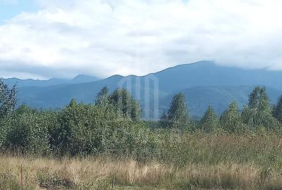 Teren extravilan de 2500 mp, în Porumbacu de Jos - 7