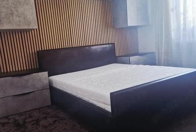 Apartament cu 3 camere decomandat în Lunei - 1