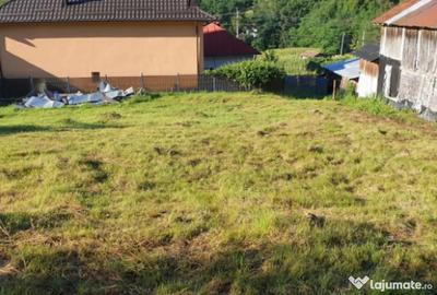 Teren de 7000 mp, în Ștubeie Tisa - 17