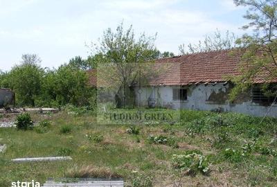 Teren de 9795 mp, în Rădoiești