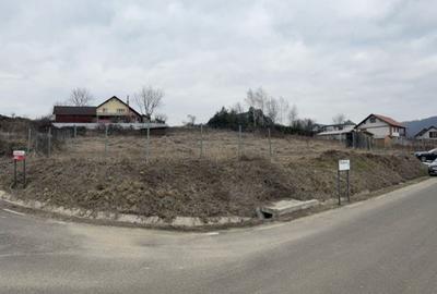 Teren agricol intravilan de 1600 mp, în Tăuții-Măgherăuș - 4