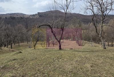 Teren în Central