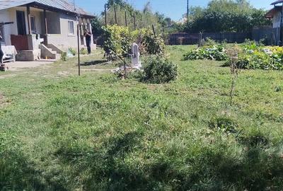 Casă cu 3 camere cu Teren 1000 Mp în Central