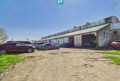 Spațiu comercial, de 1,690 mp, în Orțișoara - 2